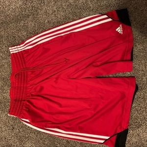 Adidas Climalite Shorts